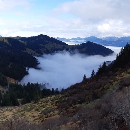 Hundetreffen 2019 im Allgäu (11)